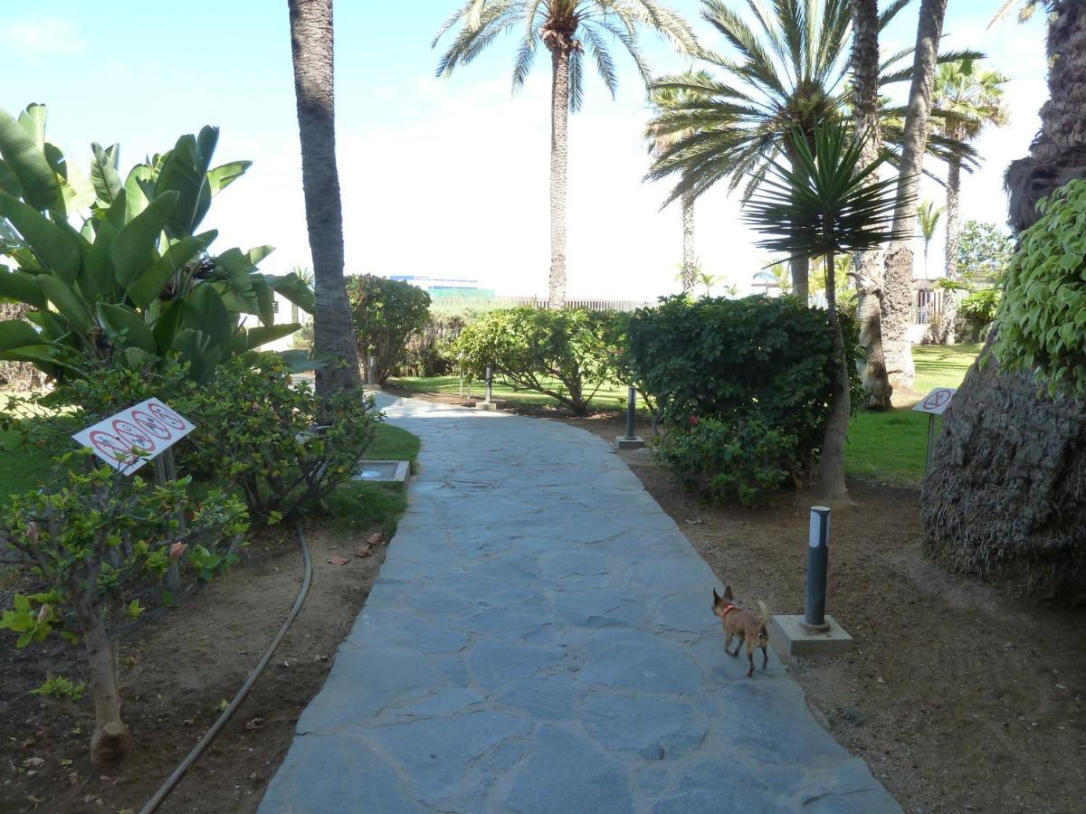 Arguineguin Studio In Top Lage Direkt Am Strand מראה חיצוני תמונה